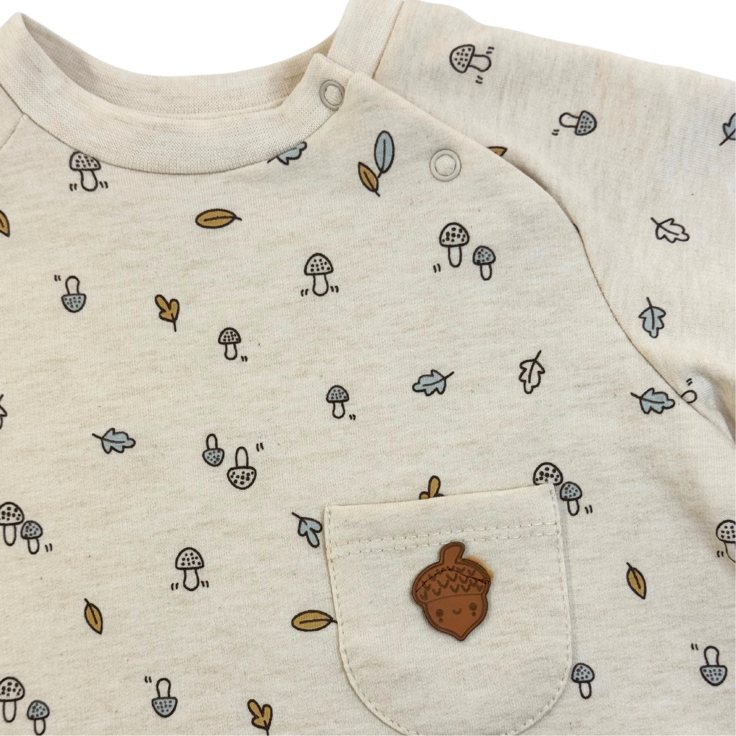 Little Acorn Outfit
