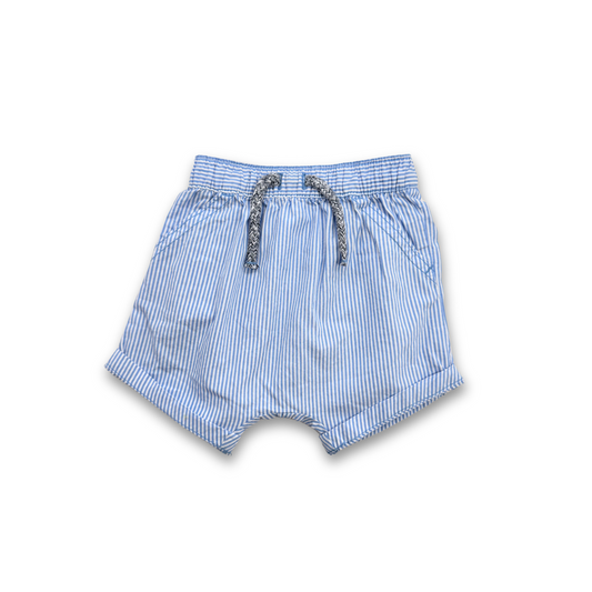 Ocean Pinstripe Shorts