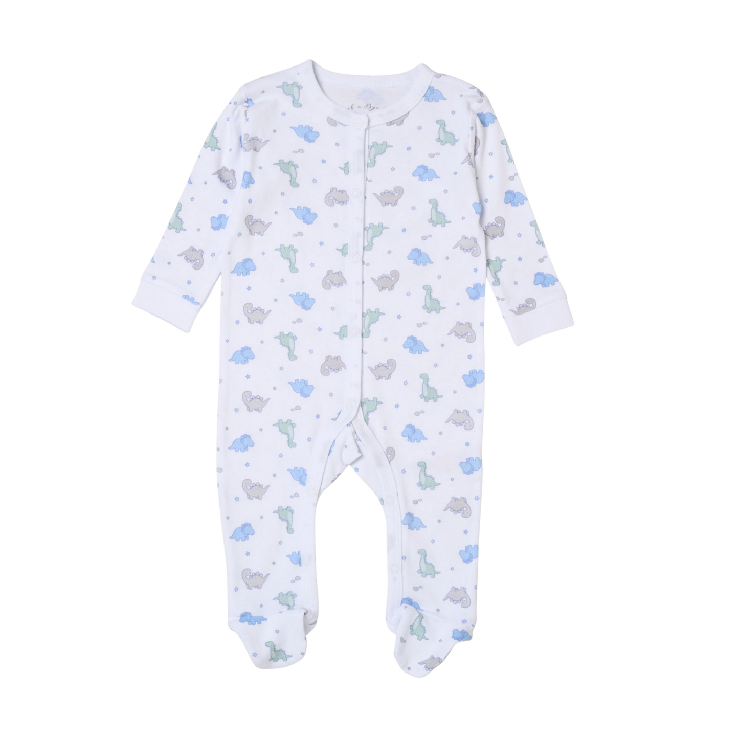 Dinosaur Friend 5PC Set