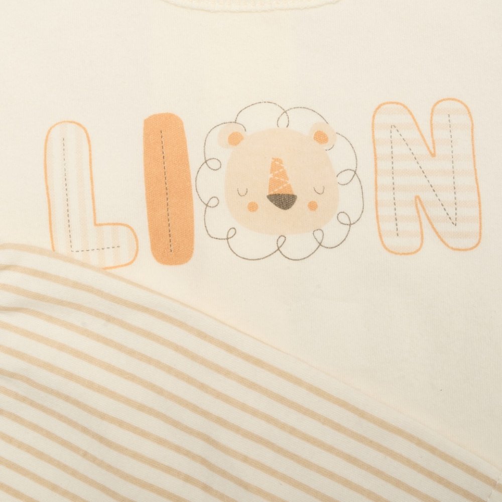 Lion Friend Summer Set