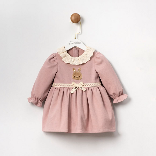 Pink children's dress with lace collar on a white background