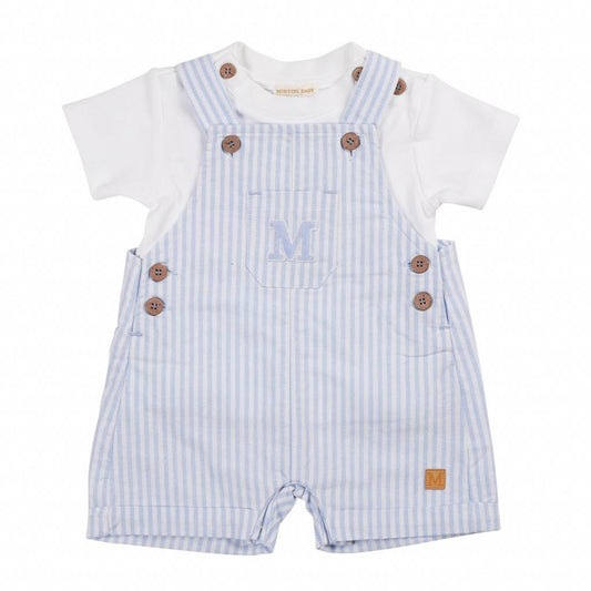 Max Pinstriped Dungaree