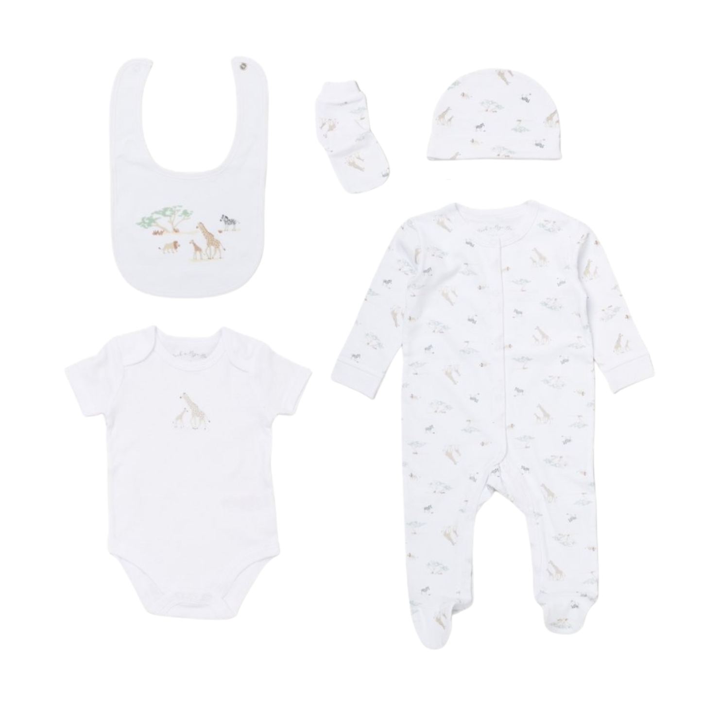 Safari 5PC Set