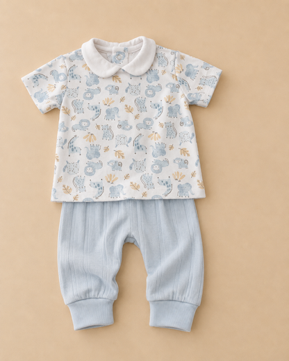 Zoo Fun Outfit Set